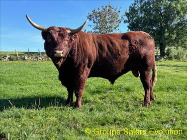 photo non disponible